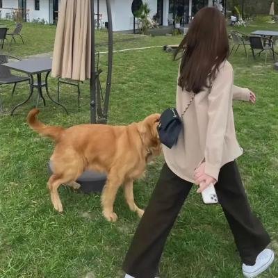 超能小队